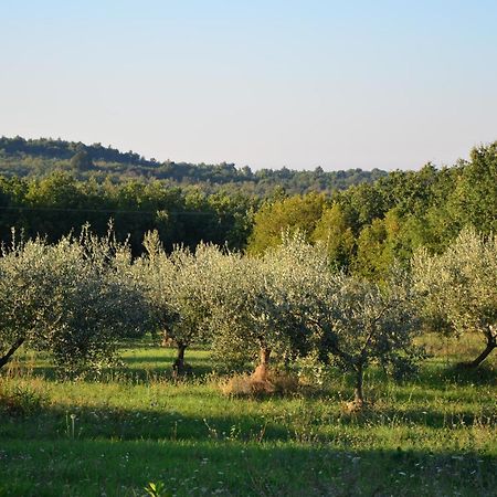 Villa Olivetta By Istrian Country Houses Barat  Екстериор снимка