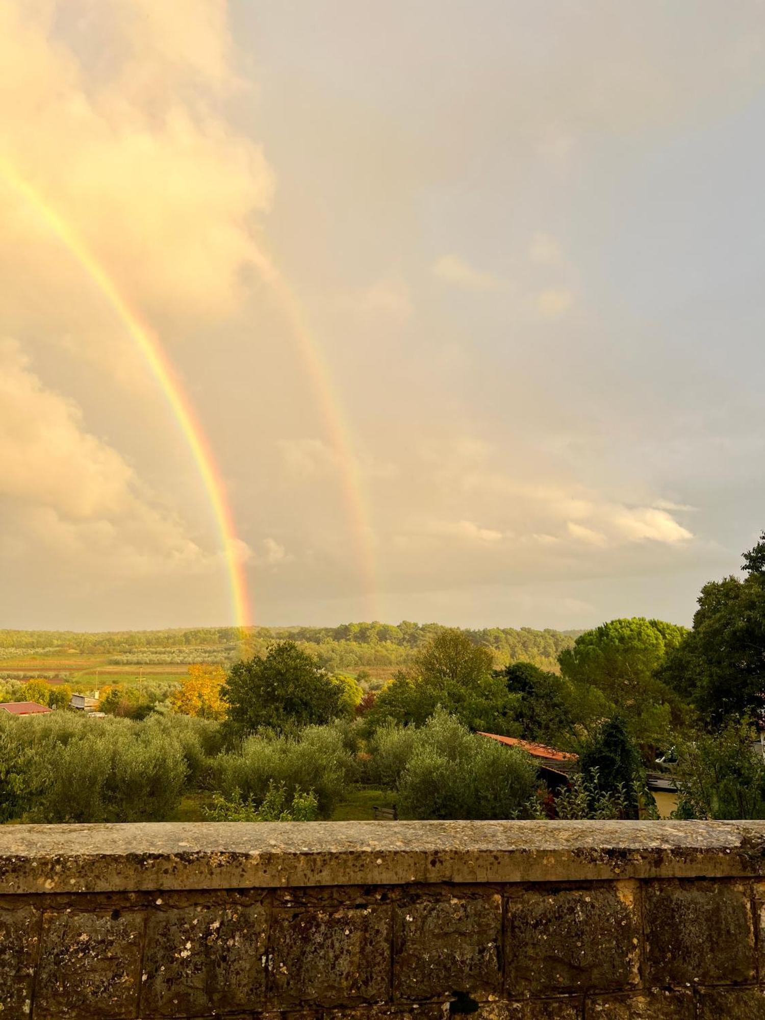 Villa Olivetta By Istrian Country Houses Barat  Екстериор снимка
