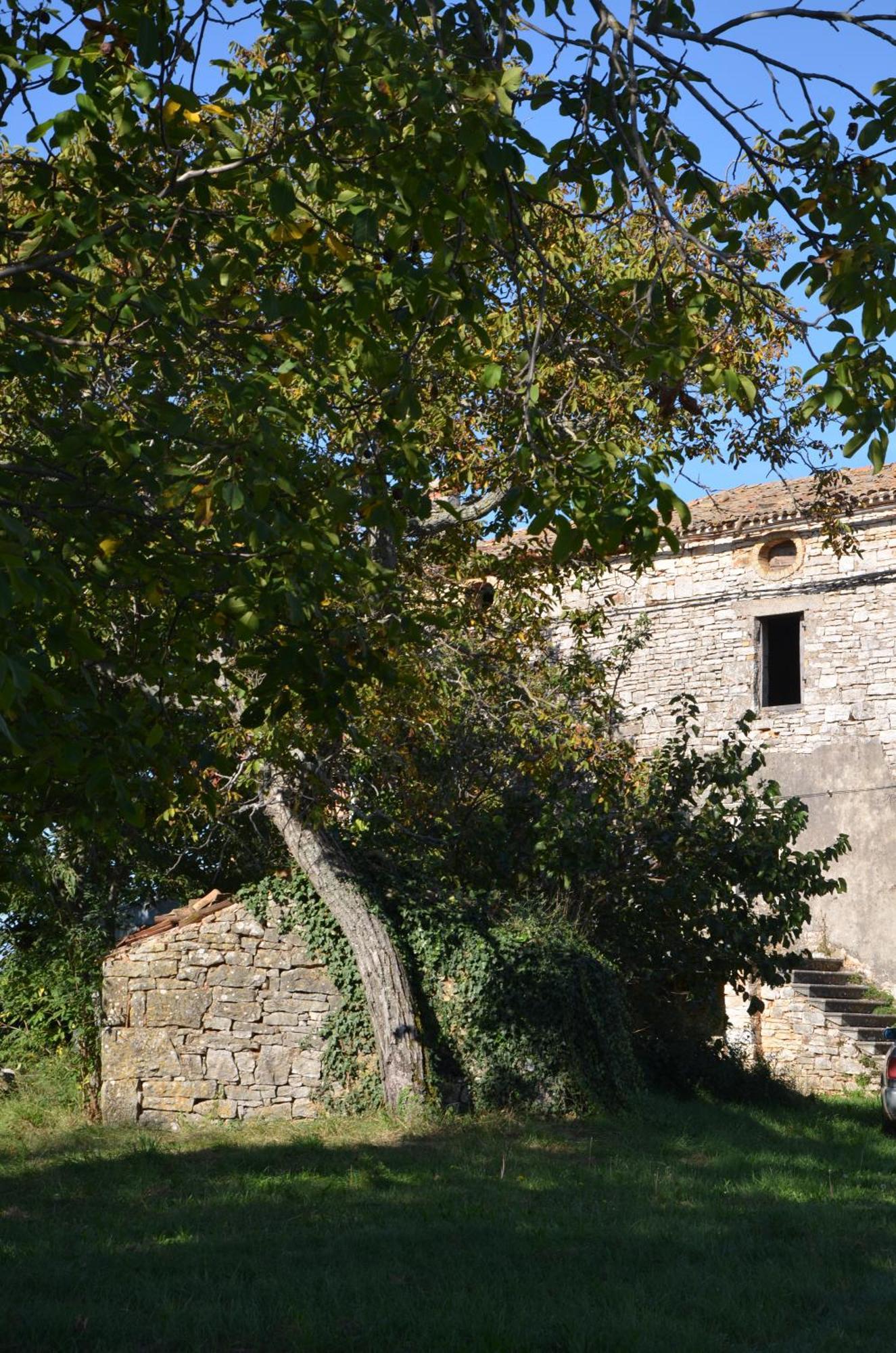 Villa Olivetta By Istrian Country Houses Barat  Екстериор снимка