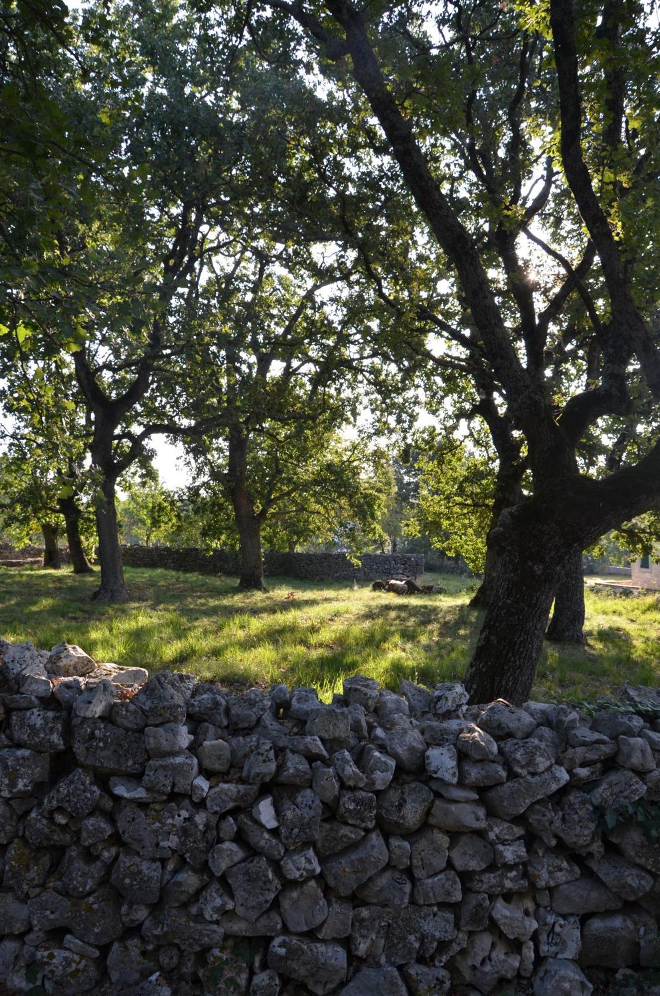 Villa Olivetta By Istrian Country Houses Barat  Екстериор снимка