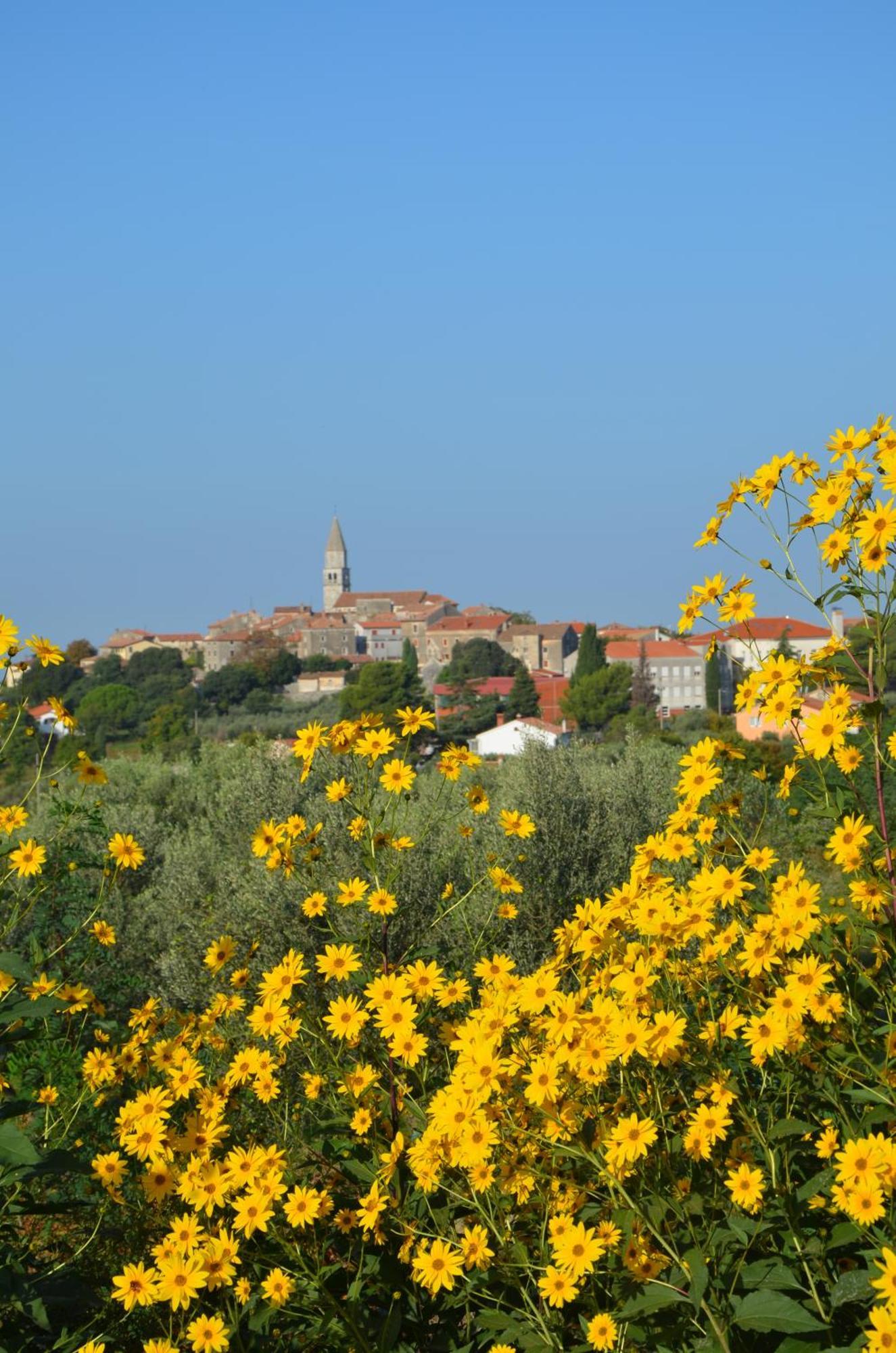 Villa Olivetta By Istrian Country Houses Barat  Екстериор снимка