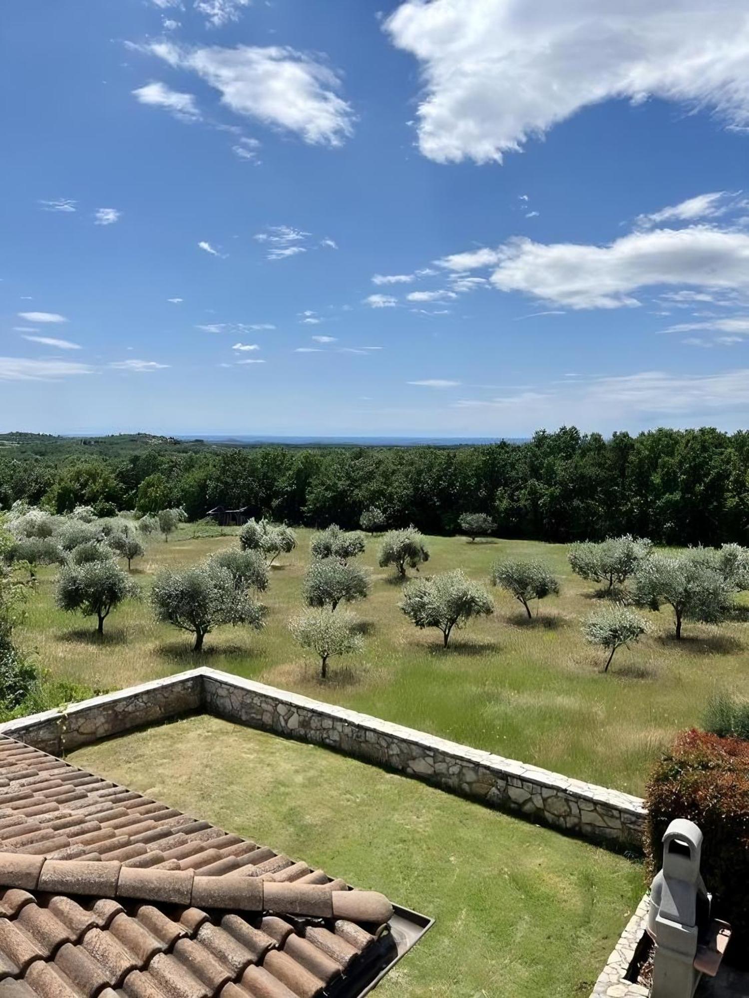 Villa Olivetta By Istrian Country Houses Barat  Екстериор снимка