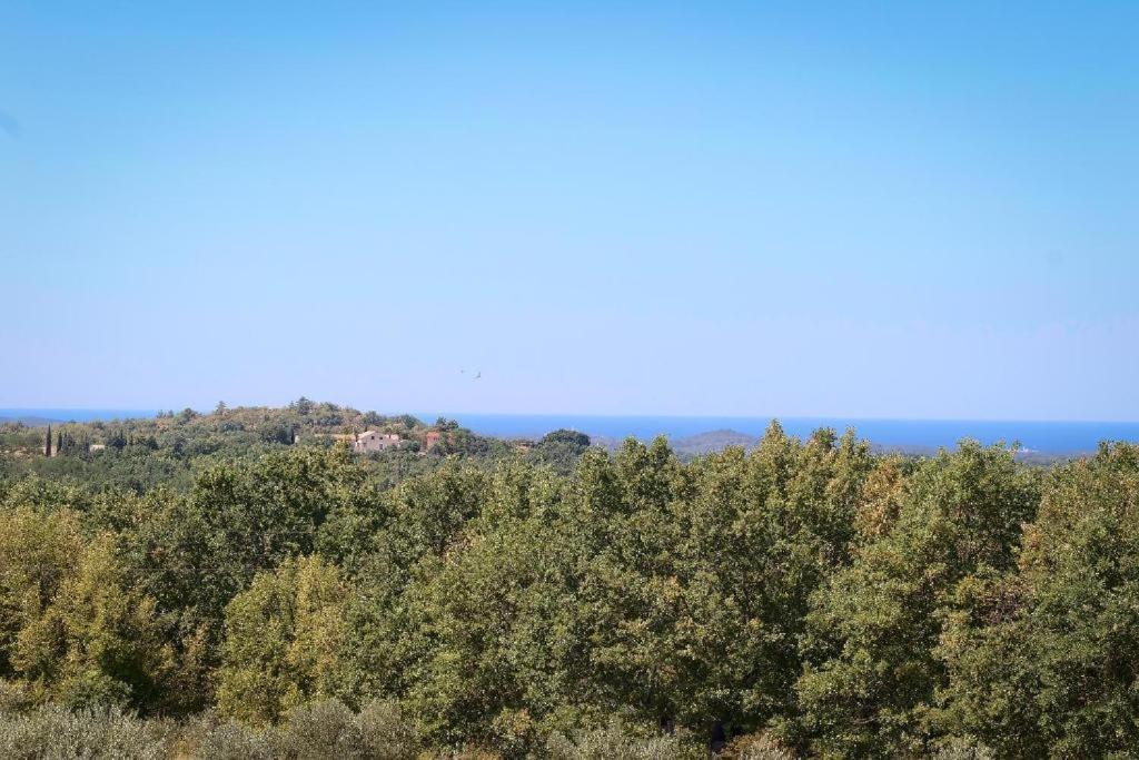 Villa Olivetta By Istrian Country Houses Barat  Екстериор снимка